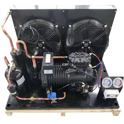 Hot sales 5hp 8hp 10hp 12hp Flat integrated cold room refrigeration unit compressor for blast freezer cold storages