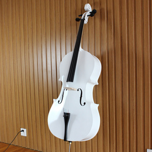 Popular professional musical instruments white cello 4 4 natural