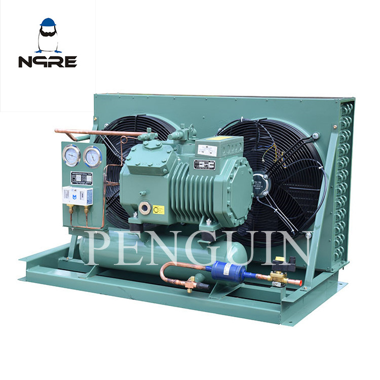 3hp 4hp 5hp 6hp 7.5hp 10hp 12hp Refrigeration Condenser Unit Air Cooled Freezer Condensing Freezing Units For Cold Room