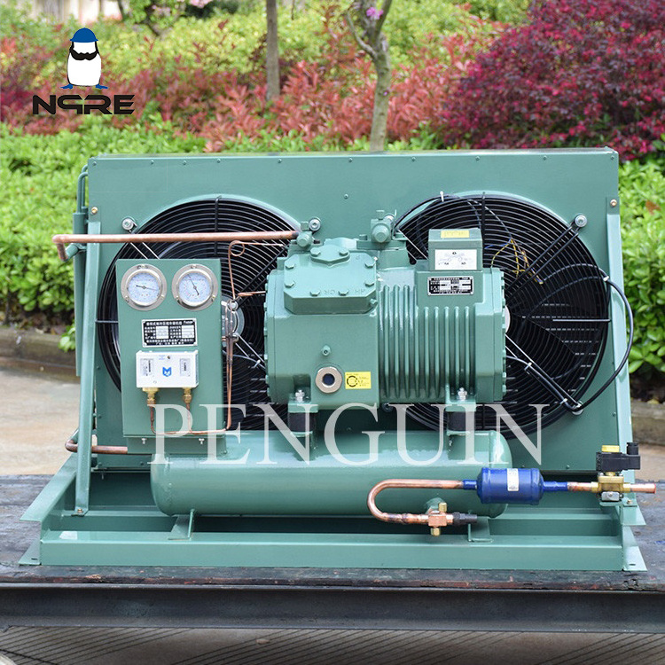 3hp 4hp 5hp 6hp 7.5hp 10hp 12hp Refrigeration Condenser Unit Air Cooled Freezer Condensing Freezing Units For Cold Room