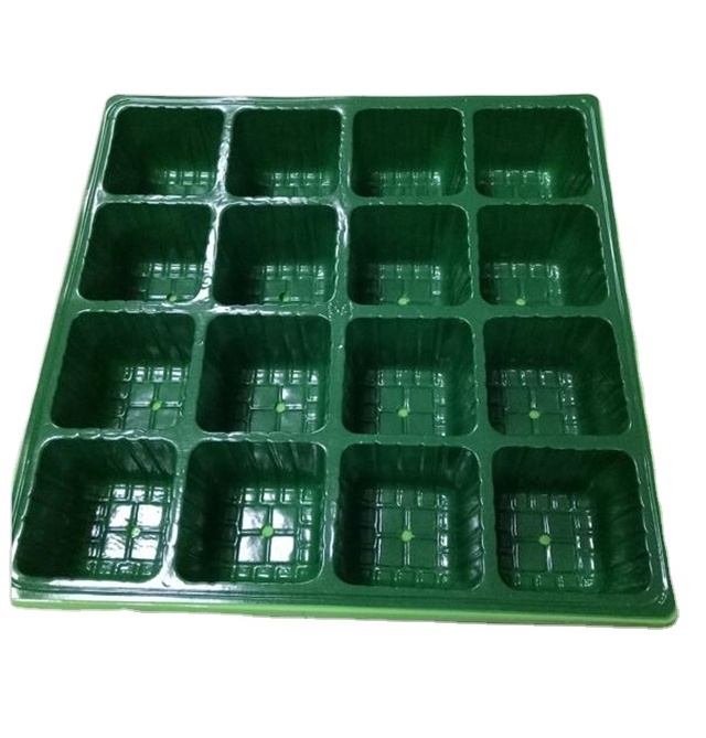 Eco-friendly wholesale plastic 16 holes plug plant seed tray, vegetable and flower seeds nursery tray