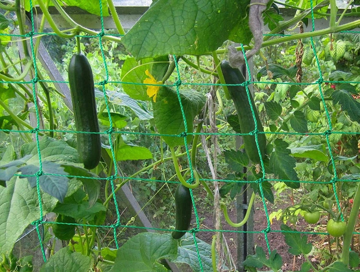 Trellis Netting for Climbing Plants  Heavy Duty Garden Trellis Netting for Cucumber, Vine, Fruits & Vegetables Tomato Plants