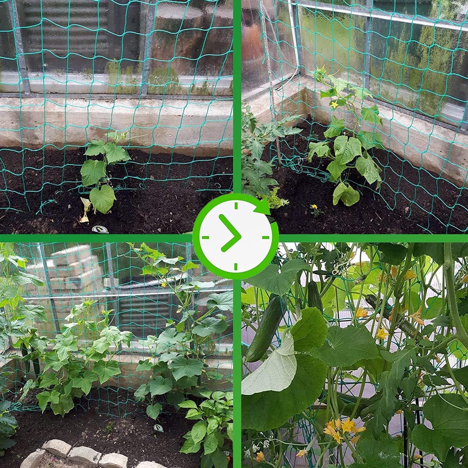 Trellis Netting for Climbing Plants  Heavy Duty Garden Trellis Netting for Cucumber, Vine, Fruits & Vegetables Tomato Plants