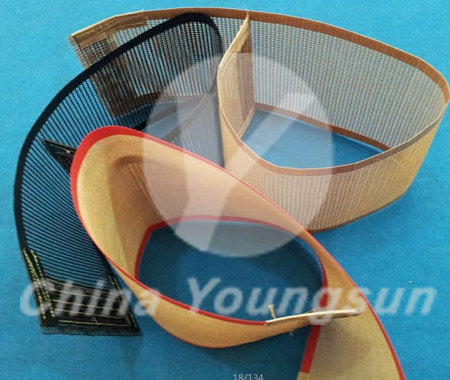 Heat resistant bull nose joint endless PTFE Manual mesh Conveyor Belt