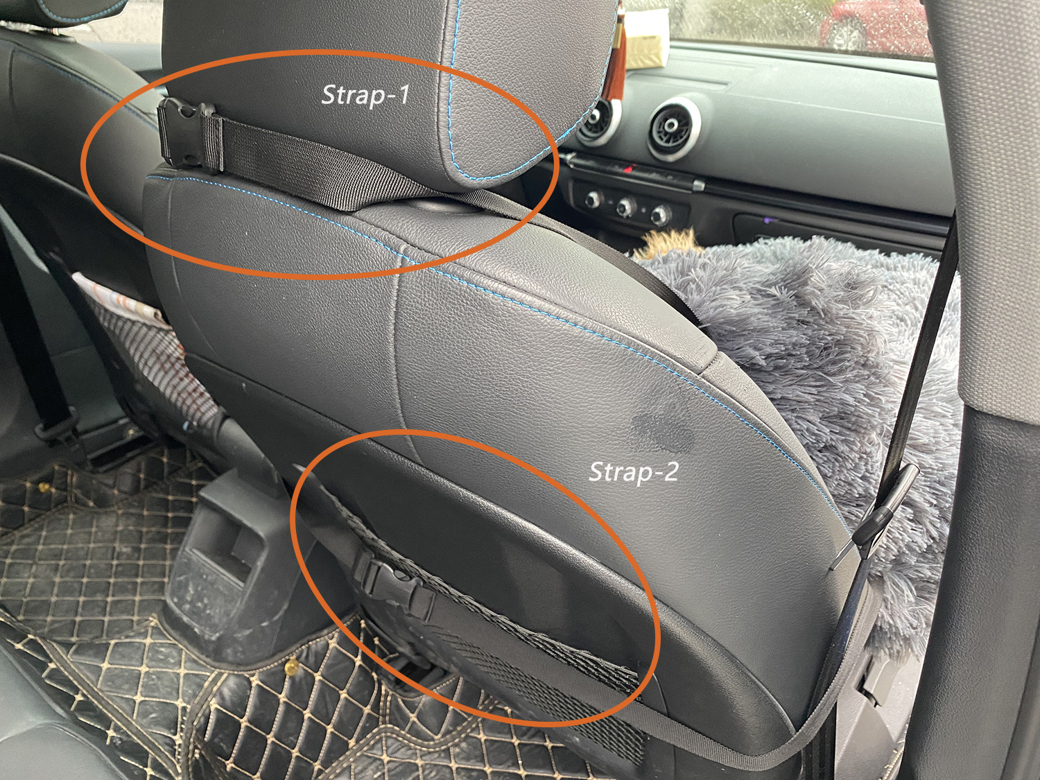 Yangyangpet small dog car booster seat luxury detachable dog car seat