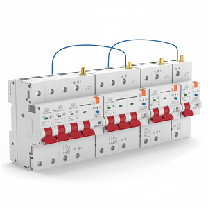 Automatic wireless interrupter reclosing switch with metering/timer 2p 63a adjustable tuya Wifi intelligent circuit breaker