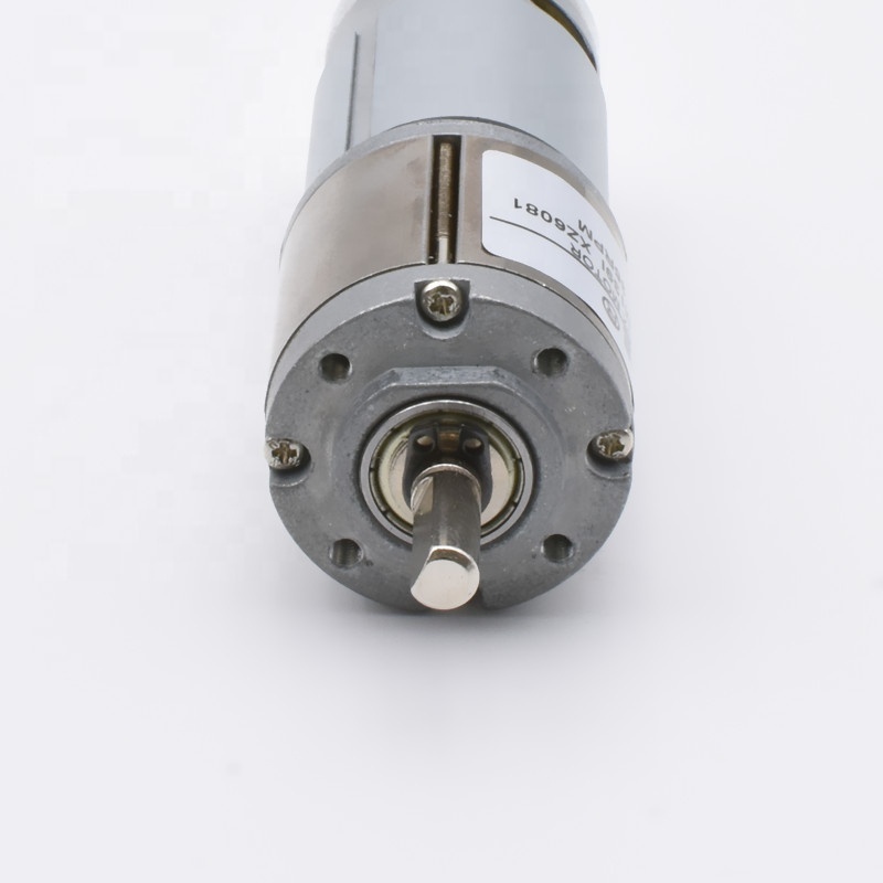 OEM 32mm micro gearbox 12 volt 12v 24v low rpm big torque 10rpm 130rpm 20kgcm 50kgcm 5w 6w rs395 brushed dc planetary gear motor