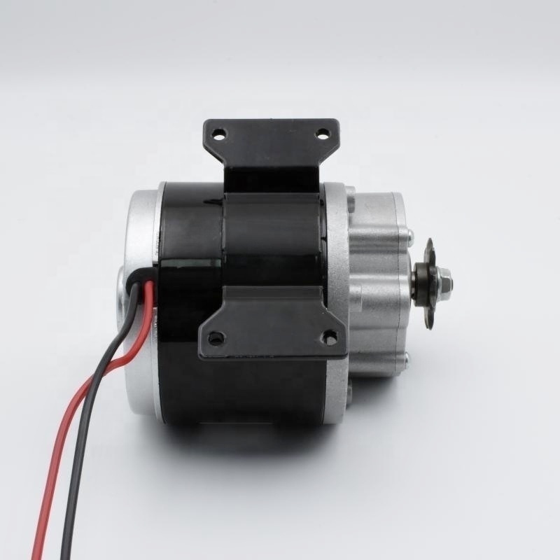 TYHE High-Torque Brushed DC Gear Motor 24V 50kg cm 250W 300RPM 9.78 Gear Ratio Motor for Wheelchairs Manufactured by MY1016Z2