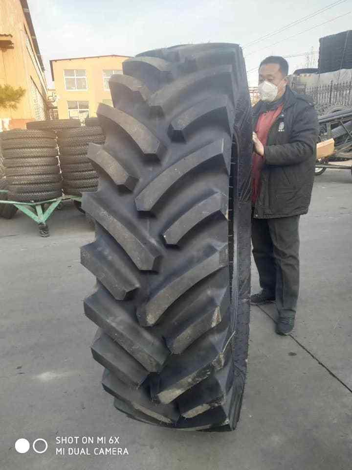 Skid steer tire 10-16.5 12-16.5 14-17.5 15-19.5 10.5/80-18 16.9-24, forklift tire 500-8 700-12 8.15-15 28*9-15, solid tire 600-9