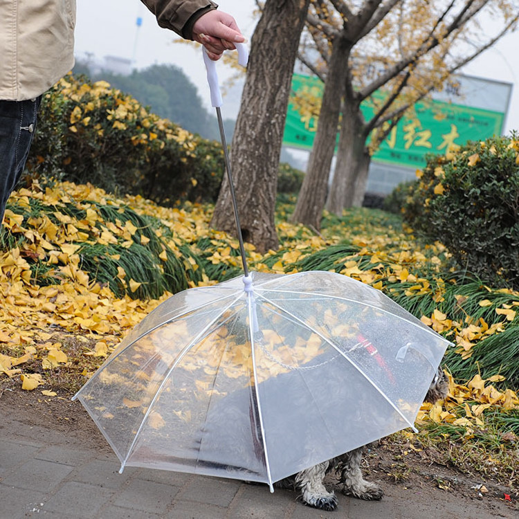 pet umbrella  new style transparent rainy umbrella waterproof outdoor POE dog cat