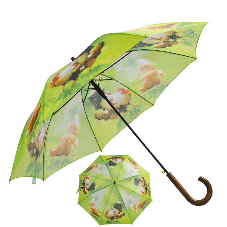 Long Straight Umbrella With Wooden Handle Hunting Umbrella