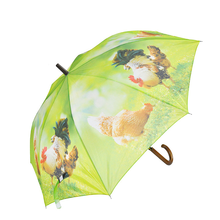 Long Straight Umbrella With Wooden Handle Hunting Umbrella