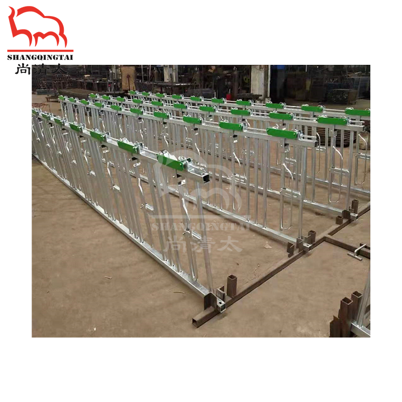 cattle headlock stall for cow cattle dairy farm  livestock  equipment factories customization wholesale