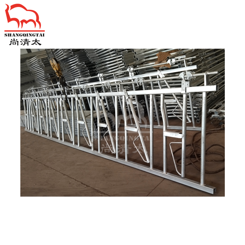 cattle headlock stall for cow cattle dairy farm  livestock  equipment factories customization wholesale