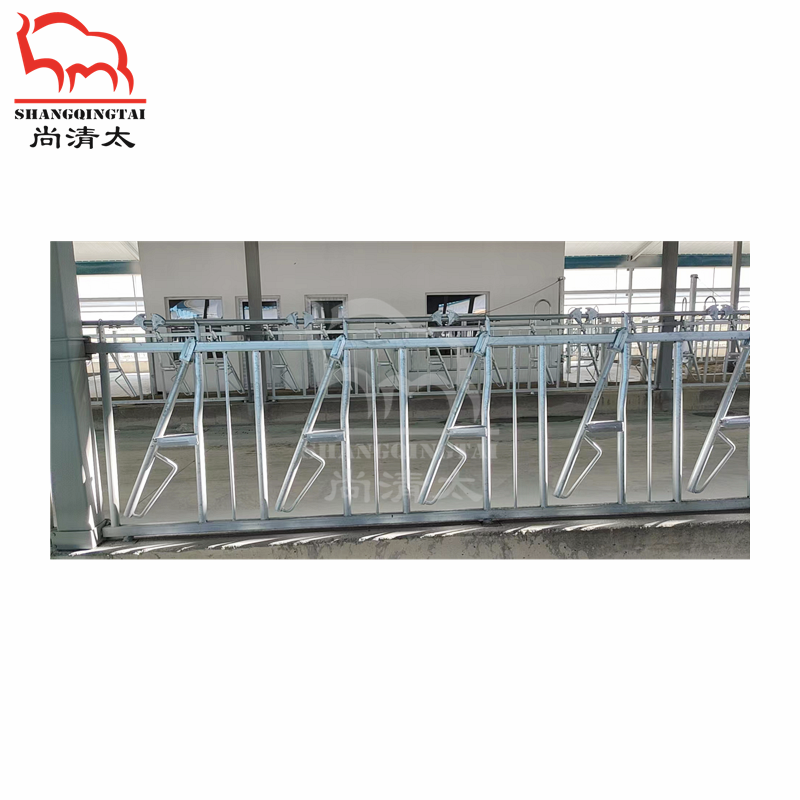 cattle headlock stall for cow cattle dairy farm  livestock  equipment factories customization wholesale