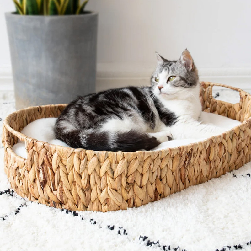 Hot Sale Simple Organic Oval Hyacinth Cat nest with handles and cushion pet bed pet supplies Wholesale made in Vietnam