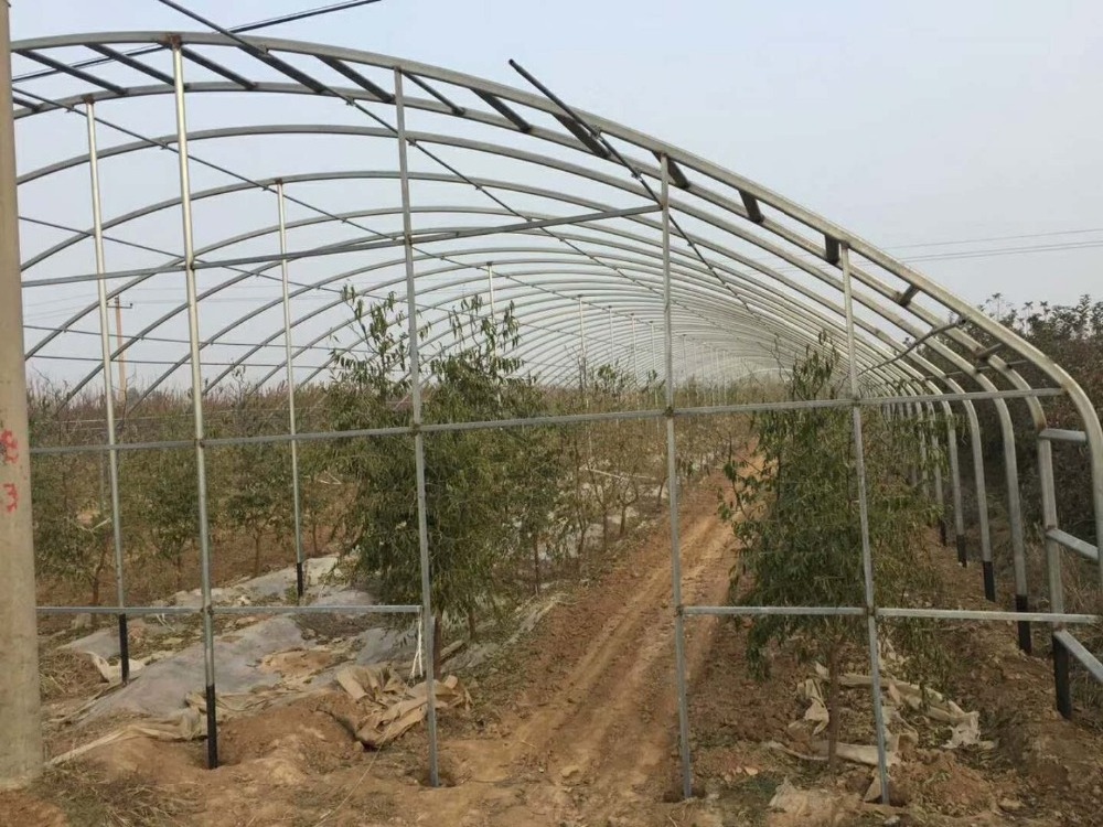 Greenhouse frames used for agriculture