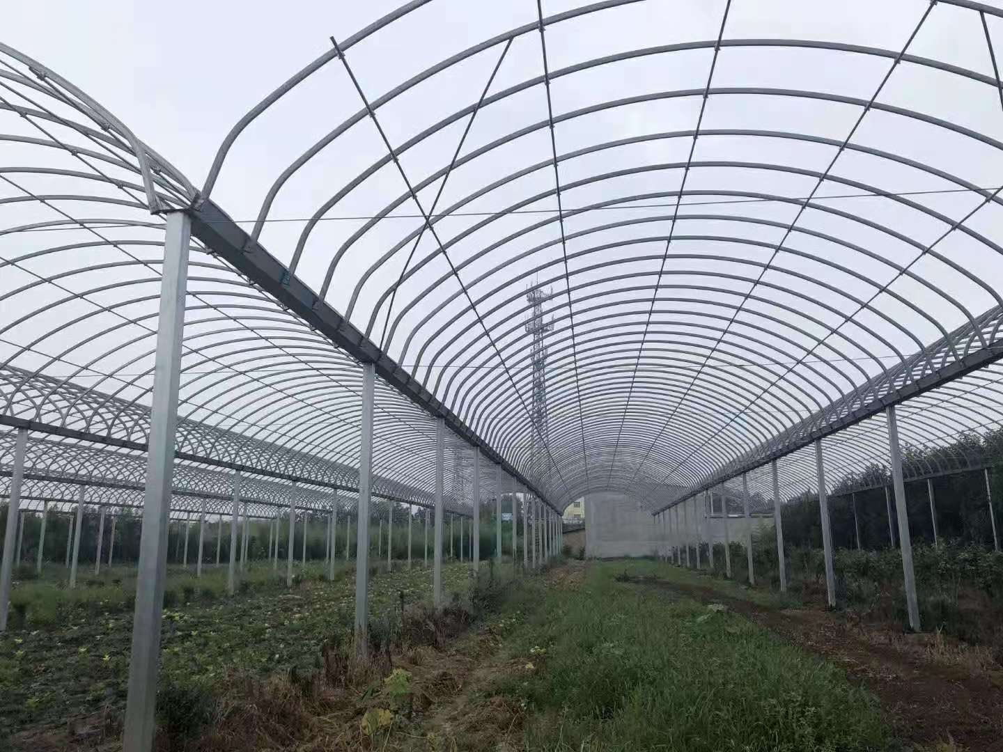 High tunnel film covered tomato greenhouse with shade net agricultural green houses