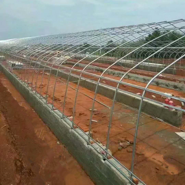 Greenhouse frames used for agriculture