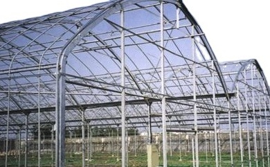 High tunnel film covered tomato greenhouse with shade net agricultural green houses