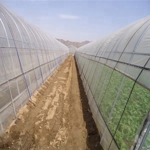 High tunnel film covered tomato greenhouse with shade net agricultural green houses