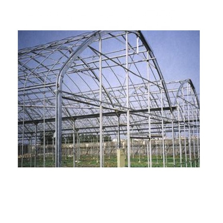 Factory direct sale greenhouse for agriculture used in  farm vegetables fruits PE film single span projects