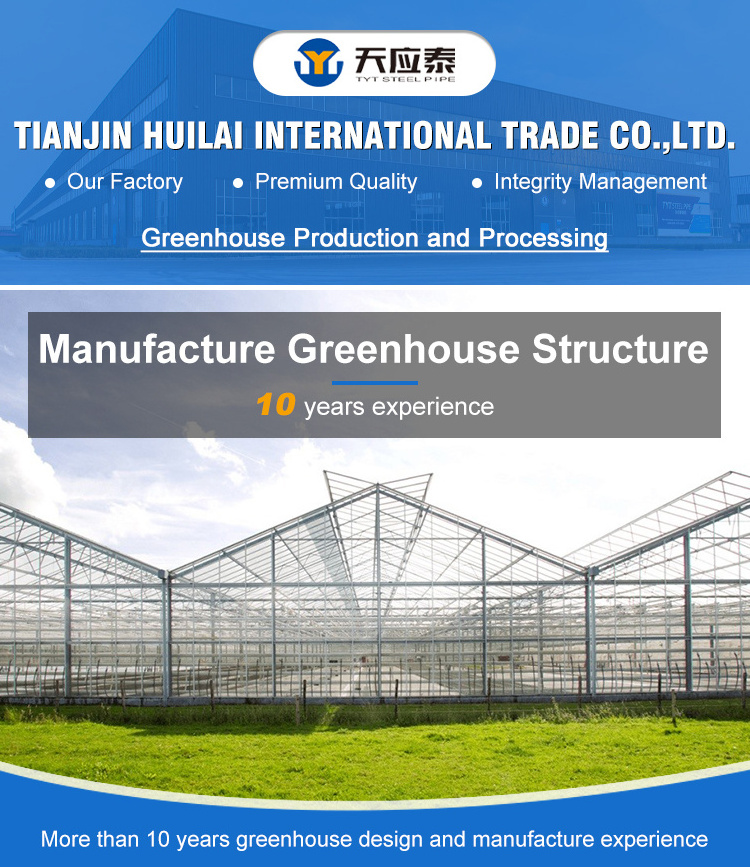 Best Tomato Greenhouse Commercial Smart Plastic Hydroponic Green House Greenhouse Structure Film For Sale