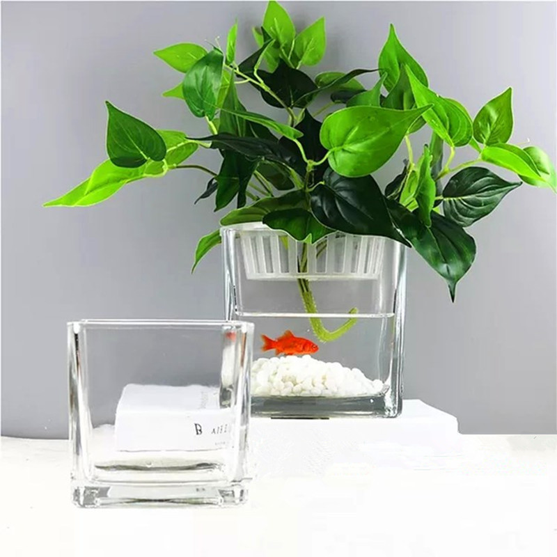 Modern square clear Ikebana hydroponics glass vase transparent cube square glass vase for sale