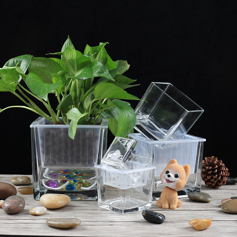 Modern square clear Ikebana hydroponics glass vase transparent cube square glass vase for sale