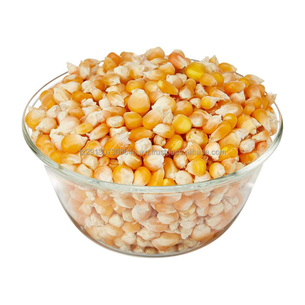 IQF Frozen Steamed Sweetcorn Seeds Kernels IQF Frozen Sweet IQF Yellow Sweet Maize