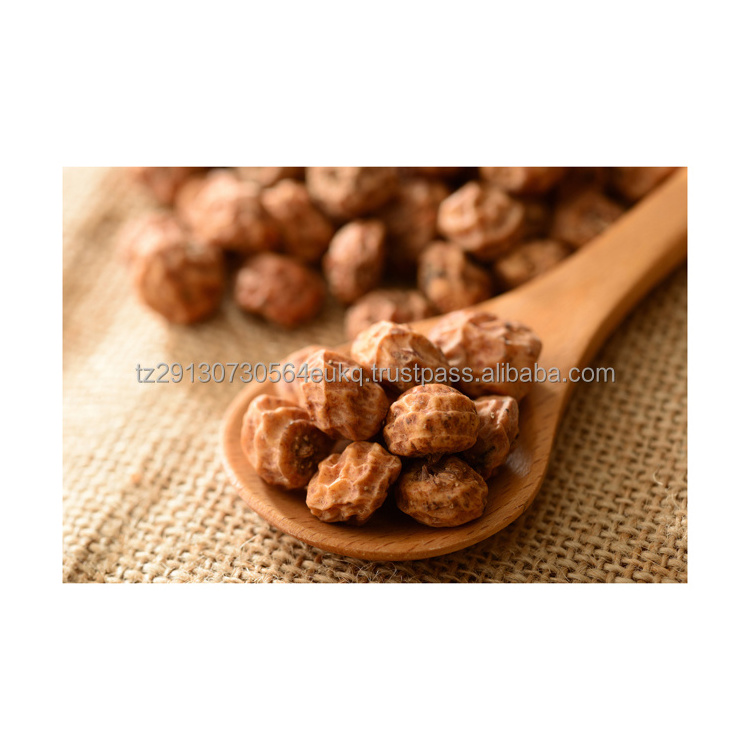 High grade Wholesale Natural Bulk Fresh TIGER nuts manufacturer in shell for food