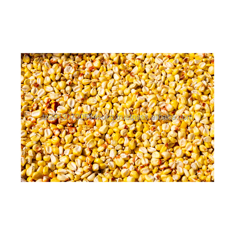 IQF Sweet Sweetcorn Seeds Frozen Sweet Sweetcorn Seeds Kernel Separator