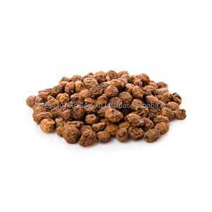 High grade Wholesale Natural Bulk Fresh TIGER nuts manufacturer in shell for food