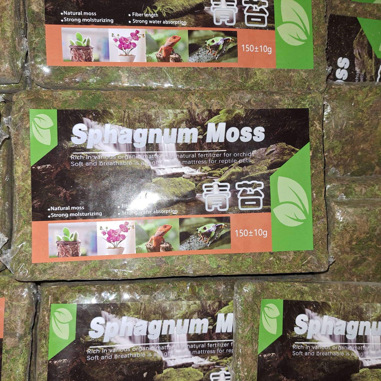 150grams Natural Dried Green Sphagnum Moss for Plants Orchid Repoting Carnivorous Flowers Crafts Terrarium and Reptiles