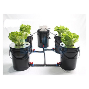 China supplier automatic aeroponics system for garden greenhouse aeroponic supplier