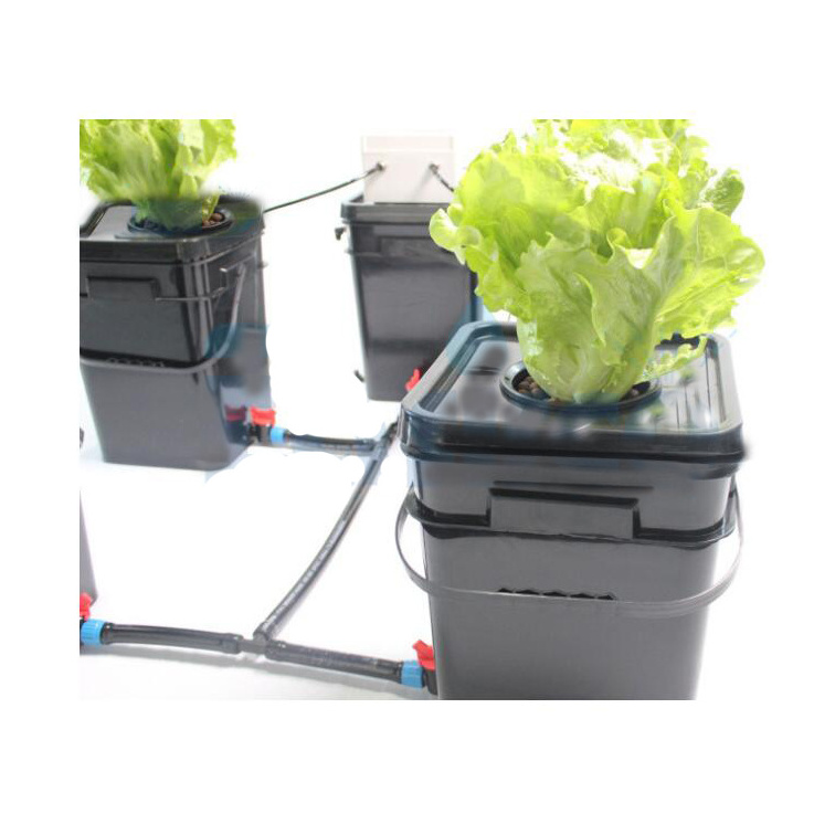 China supplier automatic aeroponics system for garden greenhouse aeroponic supplier