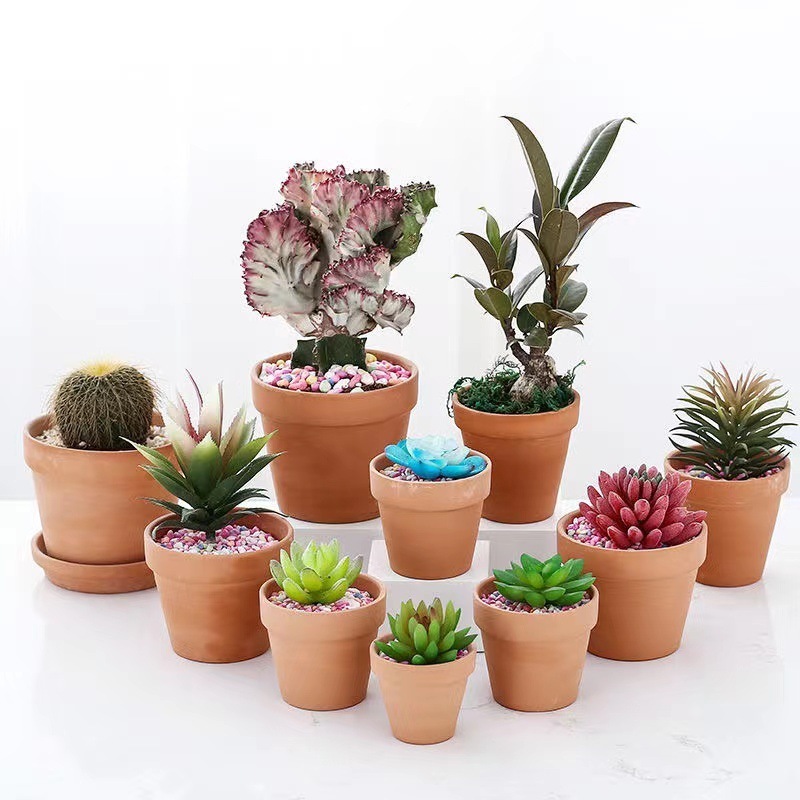 Terracotta Pot Clay 2,3,4,5,6,7 inch Ceramic Pottery Planter Cactus Flower Genus Mammillaria Pots with Drainage Hole