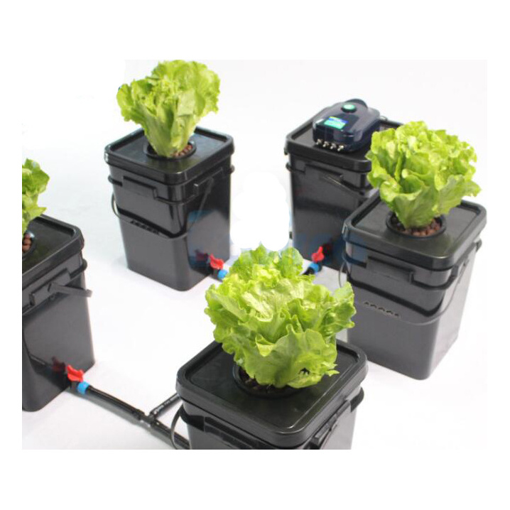 Commercial hydroponic dutch bucket system buckets