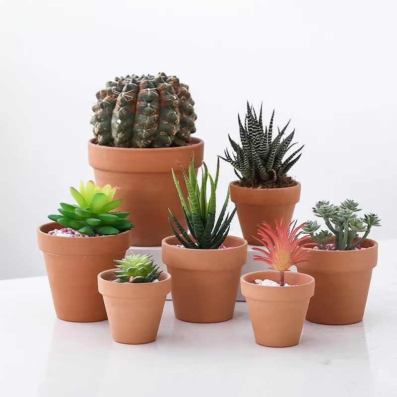 Terracotta Pot Clay 2,3,4,5,6,7 inch Ceramic Pottery Planter Cactus Flower Genus Mammillaria Pots with Drainage Hole