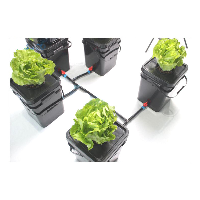 Commercial hydroponic dutch bucket system buckets