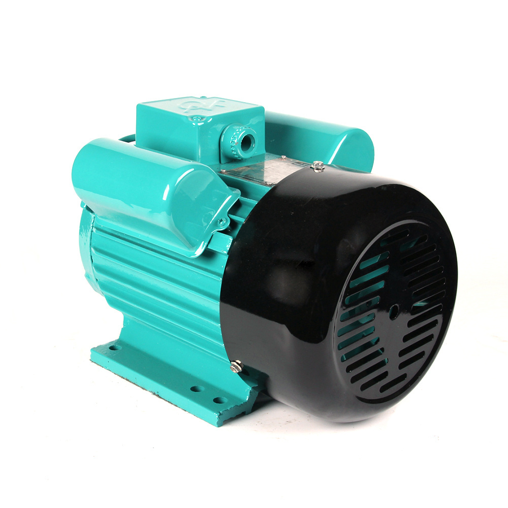 YL-100L2-4 High Quality 220V 3kw 4hp Two Value Single Phase Asynchronous AC Electric Motor