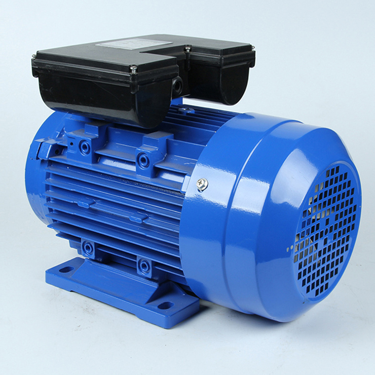 YL Series high speed efficiency quality 1440rpm Two Value Motors 220v 240V 0.55kw 0.75hp Single Phase Electric Ac Motor