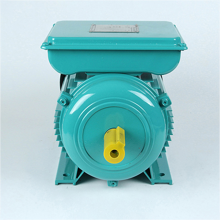 YL Series high speed efficiency quality 1440rpm Two Value Motors 220v 240V 0.55kw 0.75hp Single Phase Electric Ac Motor