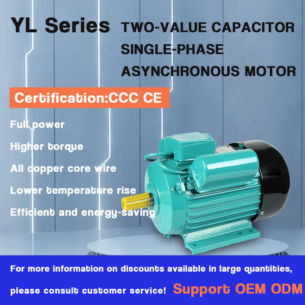 YL-100L2-4 High Quality 220V 3kw 4hp Two Value Single Phase Asynchronous AC Electric Motor