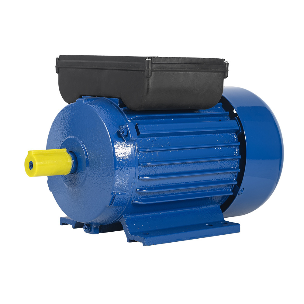 YL Series 220v 0.37kw 0.5hp 2800rpm Two Value Dual Capacitor AC Induction Electric Motors