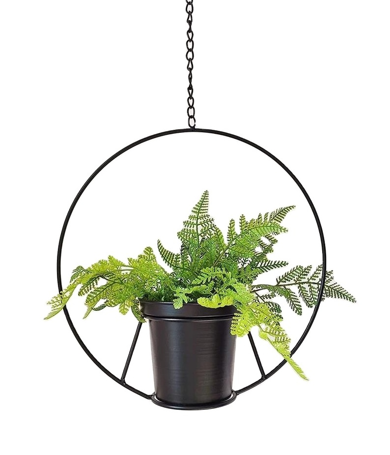 Air Plant Holder Plant Hanger Hanging Metal Plant Stand