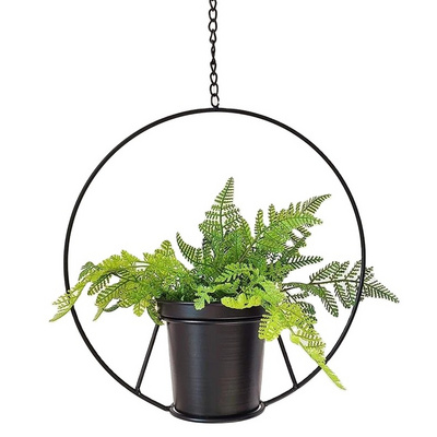 Air Plant Holder Plant Hanger Hanging Metal Plant Stand