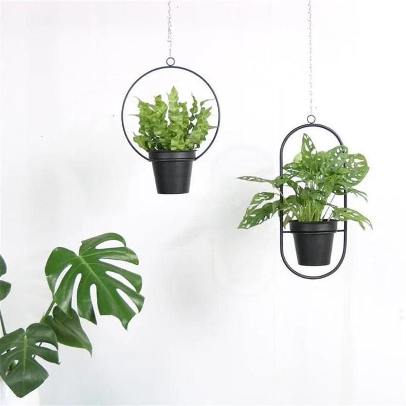 Air Plant Holder Plant Hanger Hanging Metal Plant Stand