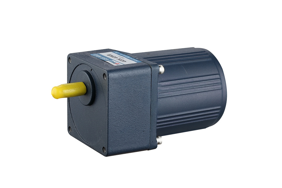 Single Phase AC Gear Motor