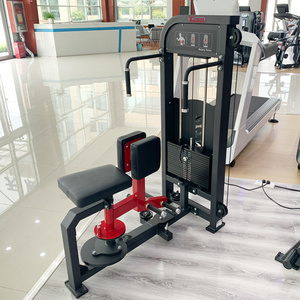 Fitness Selectorized Strength Gym Equipment Rotary Torso gym machine